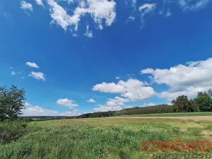 Prodej chaty, Svojšín, 40 m2