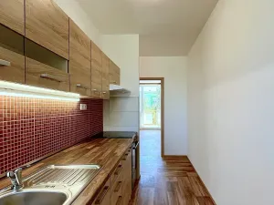 Pronájem bytu 1+1, Brno, Palackého třída, 39 m2