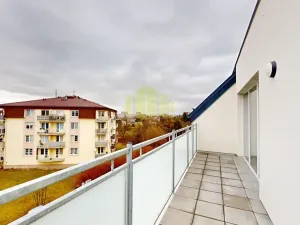 Pronájem bytu 1+kk, Olomouc, Topolová, 38 m2