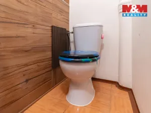 Prodej rodinného domu, Březová, Gen. Svobody, 294 m2