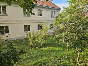 Pronájem vícegeneračního domu, Miroslav, Česká, 250 m2