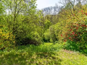 Prodej pozemku pro bydlení, Brno, 3243 m2