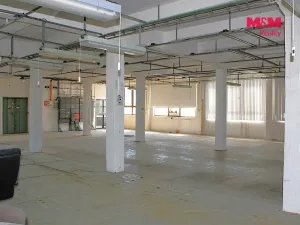 Pronájem skladu, Nová Paka, Kotíkova, 360 m2