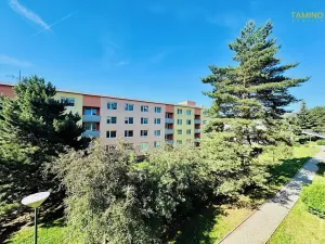 Prodej bytu 1+1, Třebíč, Tolstého, 31 m2