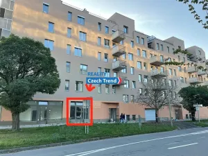 Pronájem obchodního prostoru, Olomouc, Wittgensteinova, 85 m2