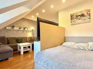 Prodej bytu 3+kk, Krnov, 84 m2