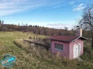 Prodej pozemku pro bydlení, Město Albrechtice, 3681 m2