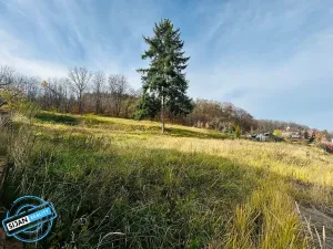 Prodej pozemku pro bydlení, Krnov, 1311 m2