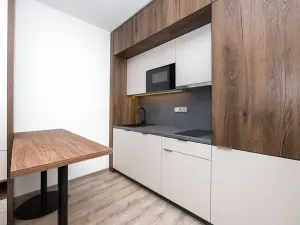 Pronájem pokoje, Praha - Michle, Na úlehli, 48 m2