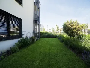 Pronájem bytu 2+kk, Olomouc, Karla Mareše, 83 m2