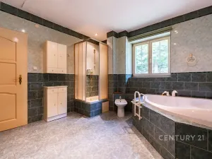 Prodej vícegeneračního domu, Lom, Podkrušnohorská, 273 m2