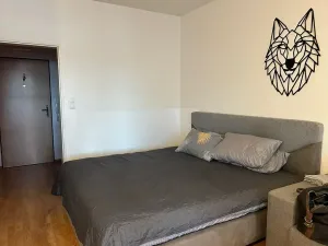 Pronájem bytu 1+kk, Praha - Vysočany, Poděbradská, 38 m2