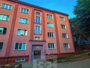 Pronájem bytu 2+1, Ostrov, S. K. Neumanna, 56 m2
