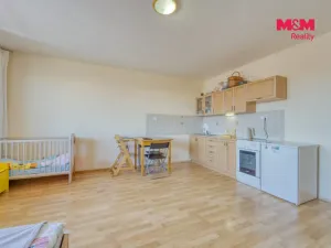 Pronájem bytu 1+kk, Plzeň - Východní Předměstí, Plzenecká, 33 m2