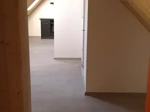 Prodej chalupy, Suchdol nad Lužnicí, 308 m2
