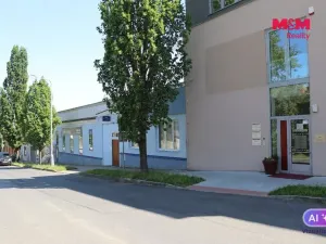 Prodej obchodního prostoru, Mělník, Krombholcova, 300 m2