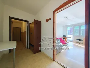 Prodej bytu 3+1, České Budějovice, Labská, 76 m2