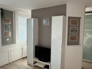 Pronájem bytu 1+kk, Praha - Libeň, Nad Mazankou, 35 m2