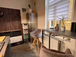 Prodej bytu 1+1, Karlovy Vary, Foersterova, 32 m2