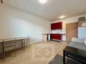 Pronájem bytu 1+1, Zlín, U Trojáku, 36 m2