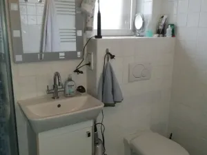Prodej chalupy, Milhostov - Hluboká, 168 m2