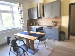 Pronájem bytu 2+1, Brno, Viniční, 70 m2