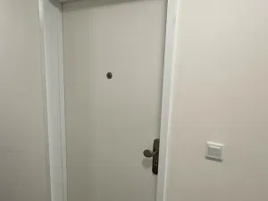 Pronájem bytu 2+kk, Praha - Vinohrady, Perucká, 40 m2