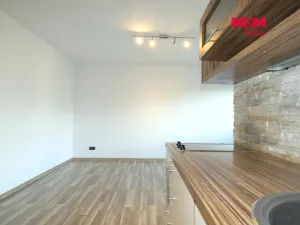 Pronájem bytu 1+kk, Ostrava - Moravská Ostrava, Petra Křičky, 30 m2
