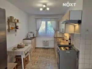Pronájem bytu 2+1, Solenice, 51 m2
