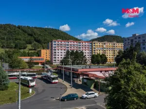 Prodej bytu 1+1, Ústí nad Labem - Mojžíř, Peškova, 35 m2