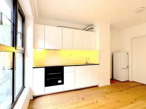 Pronájem bytu 1+kk, Brno, Bratislavská, 25 m2