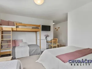 Prodej rodinného domu, Nová Pec, 280 m2