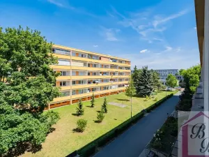 Prodej bytu 3+1, Benátky nad Jizerou, Platanová, 78 m2
