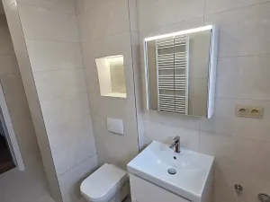 Pronájem bytu 2+kk, Praha - Vinohrady, Nad olšinami, 47 m2
