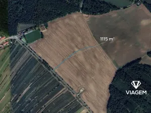 Prodej pole, Dolní Bojanovice, 1115 m2