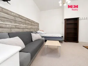 Pronájem bytu 1+kk, Plzeň - Jižní Předměstí, Klatovská třída, 23 m2