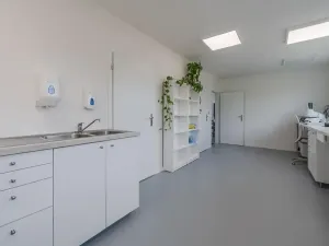 Prodej vícegeneračního domu, Trubín, Za Úvozem, 324 m2