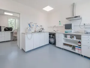 Prodej vícegeneračního domu, Trubín, Za Úvozem, 324 m2