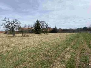 Dražba pozemku pro bydlení, Zálesí, 1254 m2