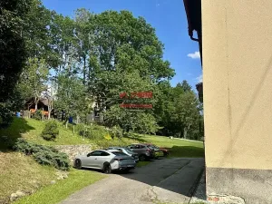 Prodej bytu 2+1, Želnava, 55 m2