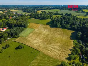 Prodej louky, Petrovice u Karviné - Prstná, 29562 m2