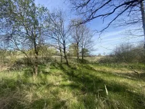 Prodej pozemku, Hranice, 2086 m2