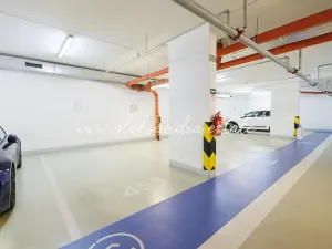 Pronájem bytu 2+kk, Praha - Žižkov, Olšanská, 61 m2