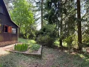 Prodej chaty, Borová, 53 m2
