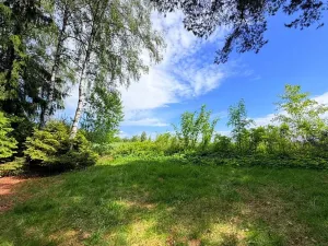 Prodej chaty, Borová, 53 m2