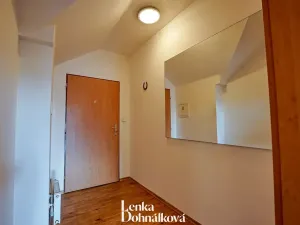 Pronájem bytu 3+kk, Hodonín, 115 m2
