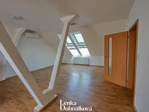 Pronájem bytu 3+kk, Hodonín, 115 m2