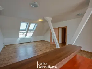 Pronájem bytu 3+kk, Hodonín, 115 m2