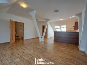 Pronájem bytu 3+kk, Hodonín, 115 m2