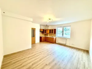 Pronájem bytu 1+kk, Praha - Libeň, Budilova, 39 m2